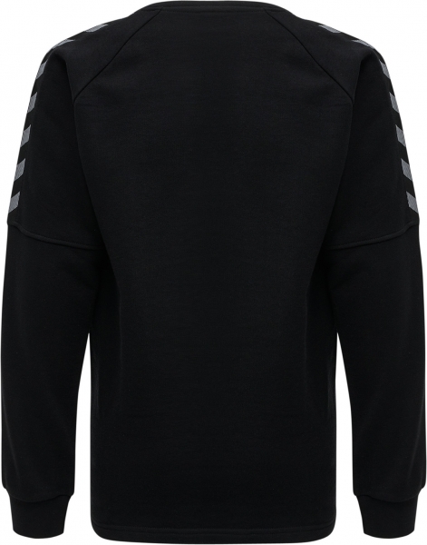 SV Veitshöchheim Authentic Sweatshirt Unisex